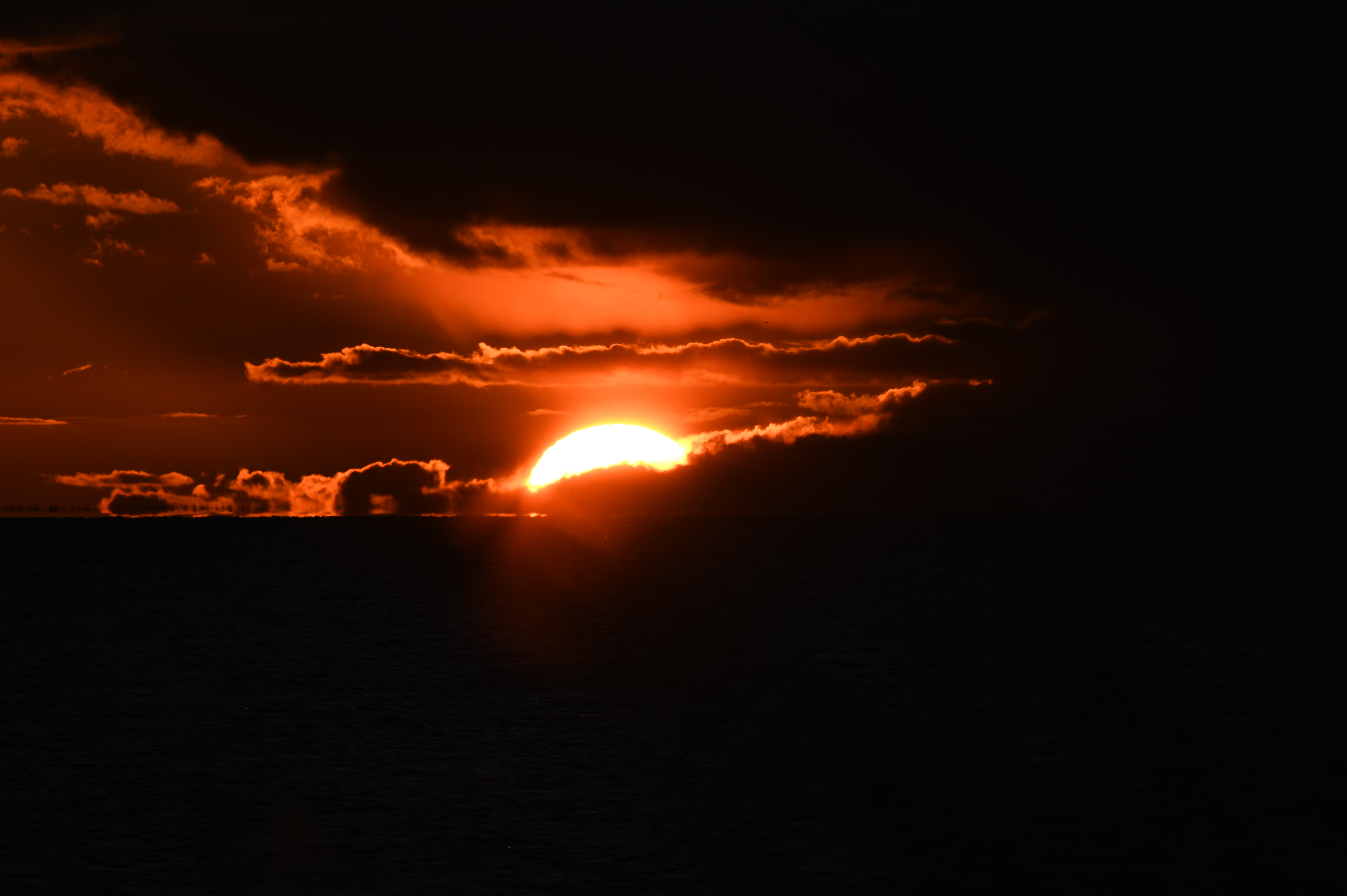 2025/10/18 - walk/DSC_0484.JPG